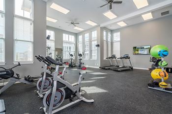 A gym with a row of stationary bikes and a treadmill.